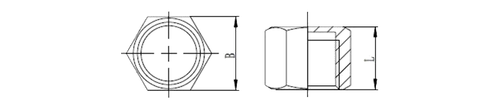 Stainless steel screwed Hexagon Cap