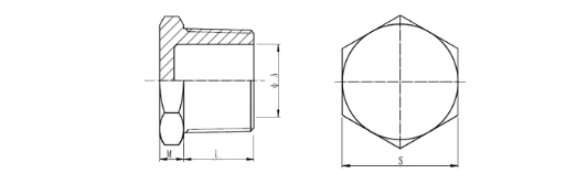 Stainless steel screwed Hexagon Plug