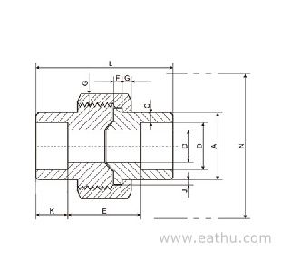 Socket Weld Union