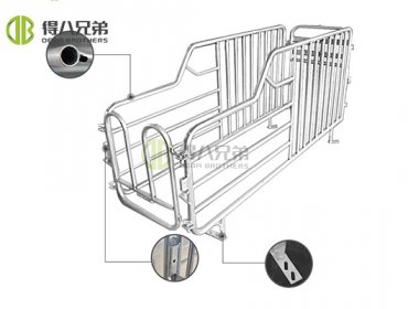 Gestation Stall_3