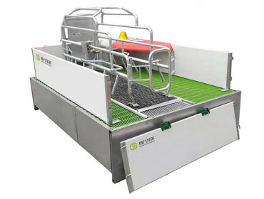 Leveraging Lift Farrowing Crates to Reduce Piglet Mortality