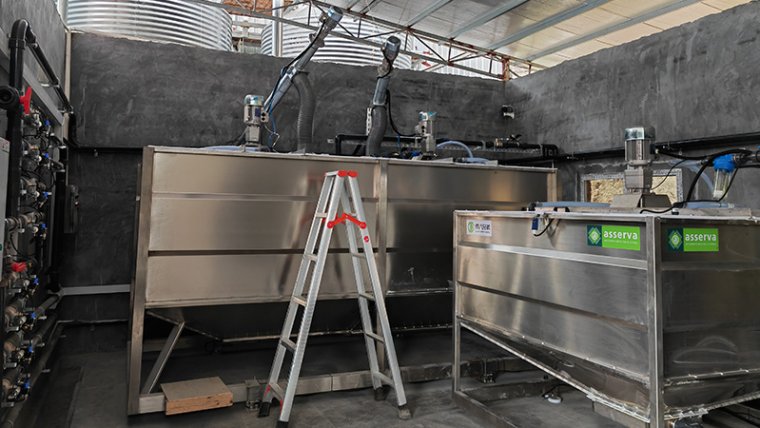 Debabrothers' Innovative Liquid Feed System Revolutionizes the Fujian Xingdaxing 4200 Fattening Pig Farm
