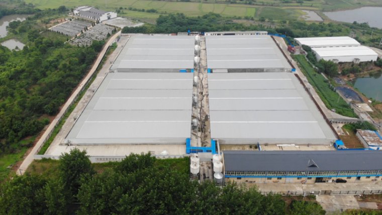 Maximizing Pig Farming Efficiency: Advanced Liquid Feeding Systems for Anhui Xintai's 3000 Pig Fattening Project