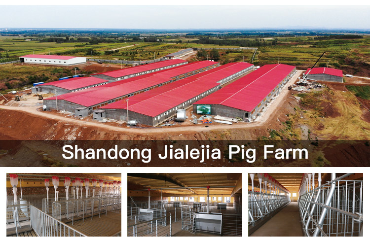 得八产床详情_26