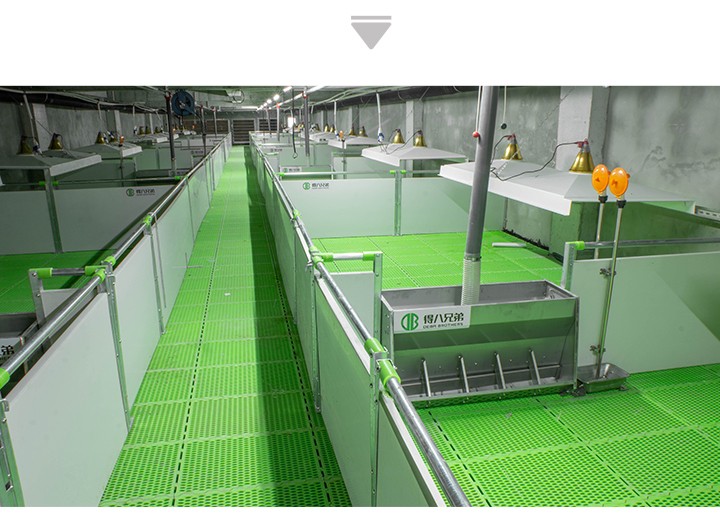 电子邮件(保育栏)_08