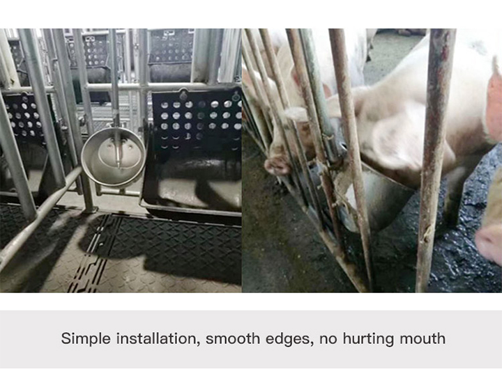 电子邮件(不锈钢饮水碗)_04