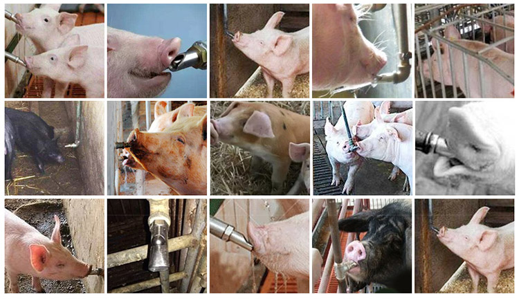 不锈钢饮水嘴_03