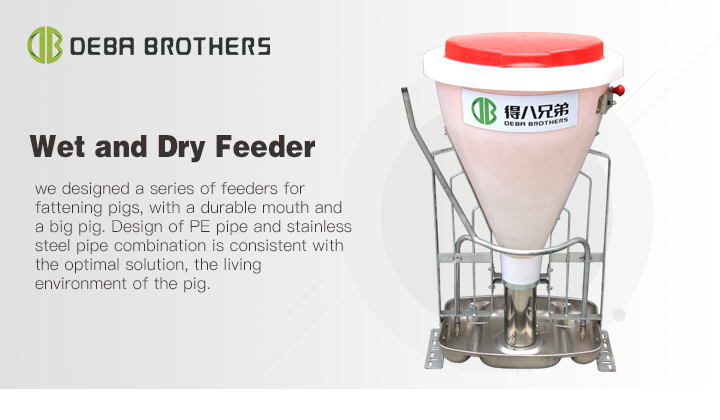 电子邮件(干湿喂食器)_01