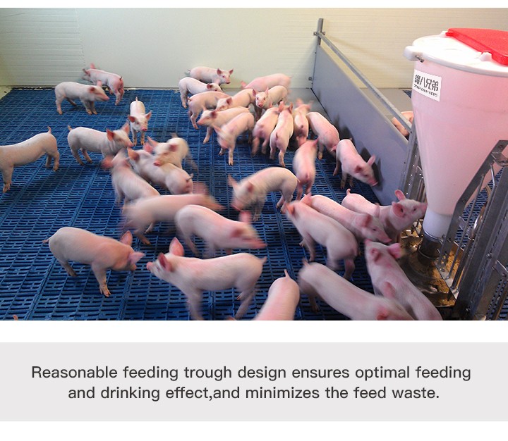 电子邮件(干湿喂食器)_04