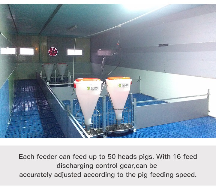 电子邮件(干湿喂食器)_03