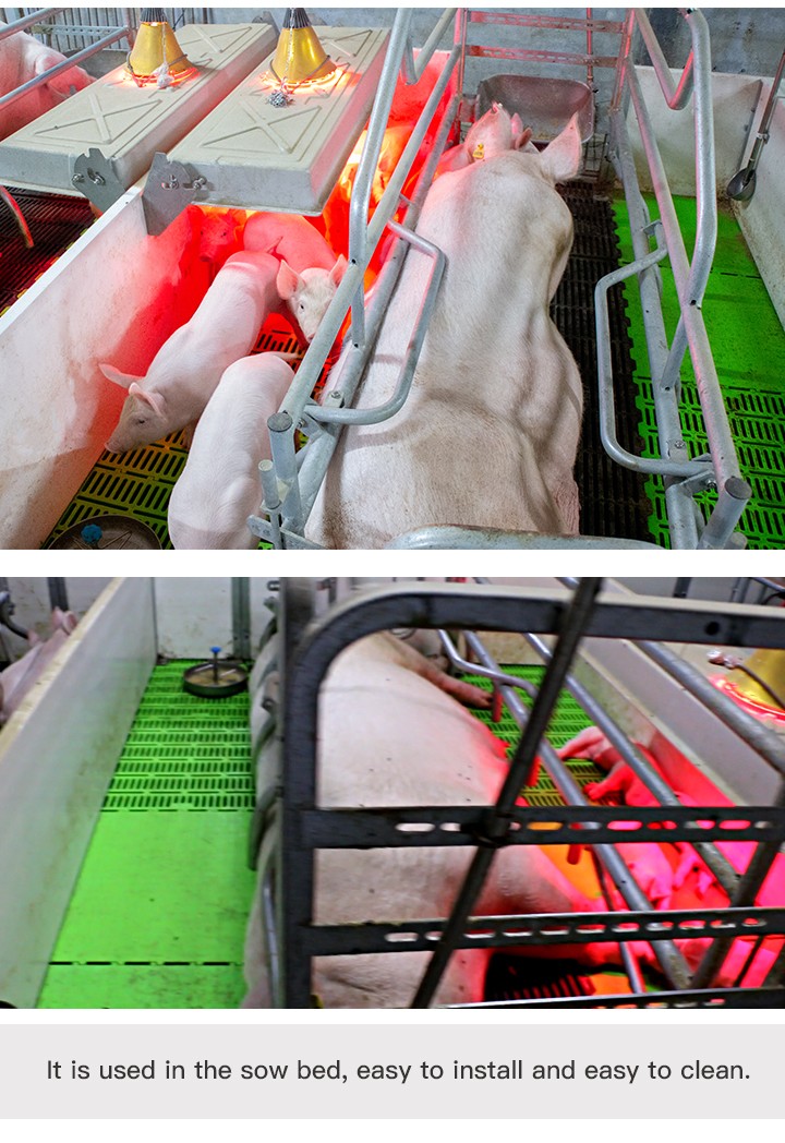 电子邮件(不锈钢双面喂食器)_03