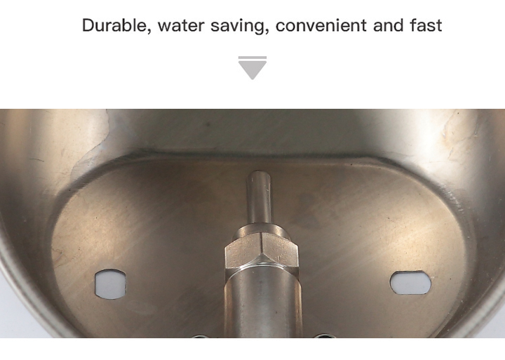 电子邮件(不锈钢饮水碗)_10