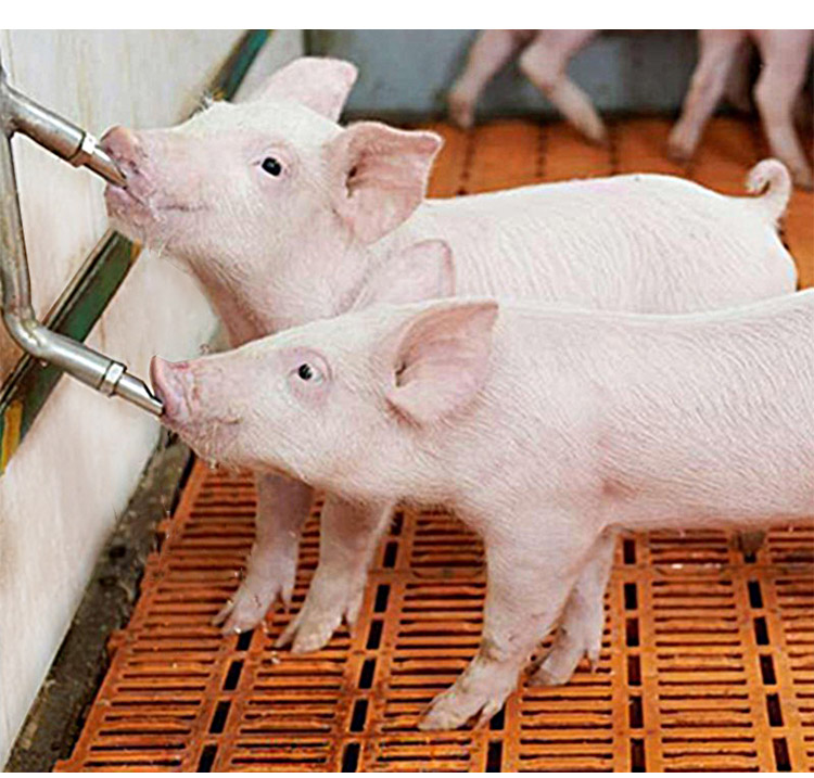 不锈钢饮水嘴_02