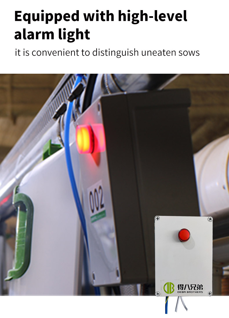 每天有详情页_08