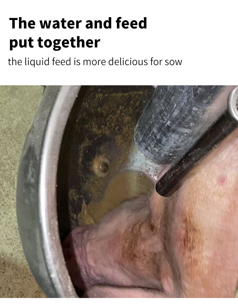 每天有详情页_06