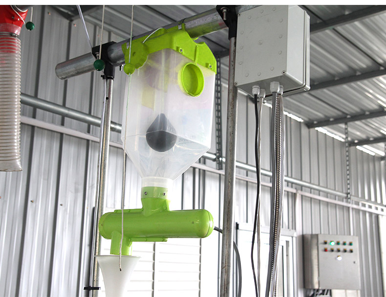 每天有详情页_11