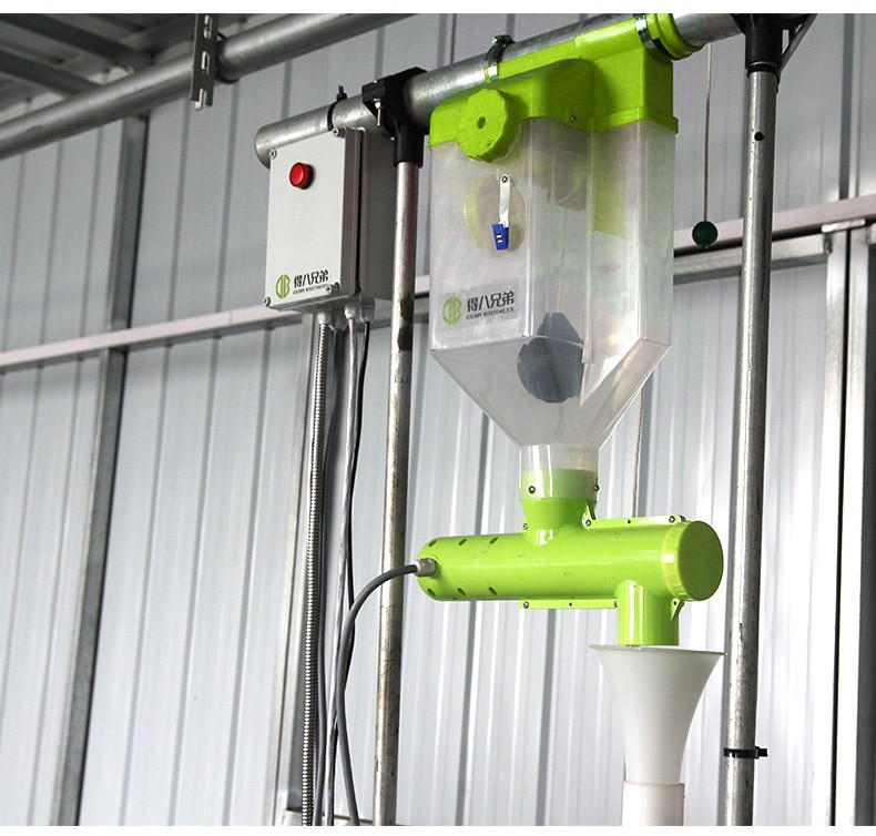 每天有详情页_10