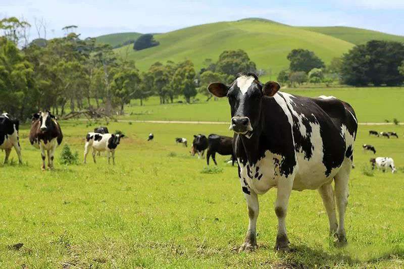 tMQRSvWAwwulhENLe6WFYSs7mbUTbvkwj1ea5I5FsEE1H1553071938468compressflag