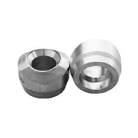 Socket Weld Outlet factory