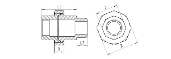 Stainless steel screwed Union Conical MF