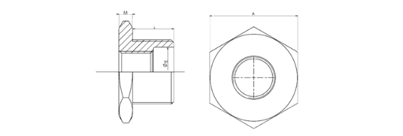 Stainless steel screwed Hexagon Bushing