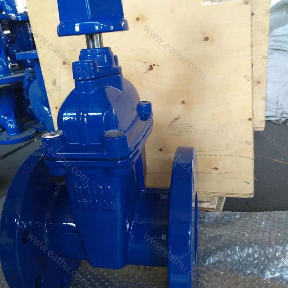 Eathu cast iron valve for shipment