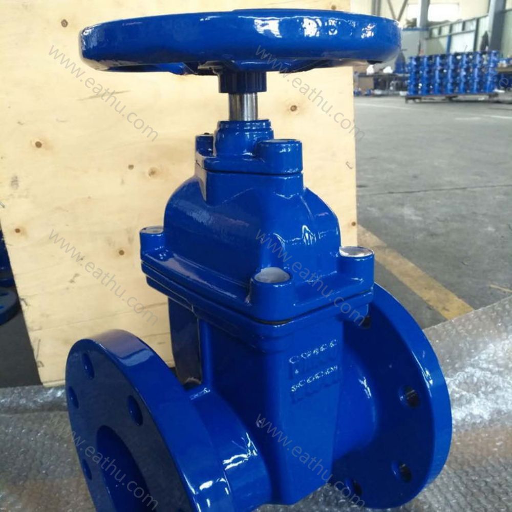 Eathu cast iron DIN gate valve with blue painting