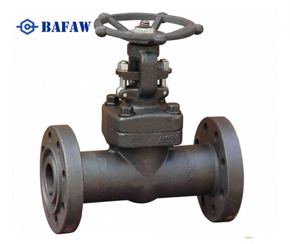 Forged Steel Gate Valve