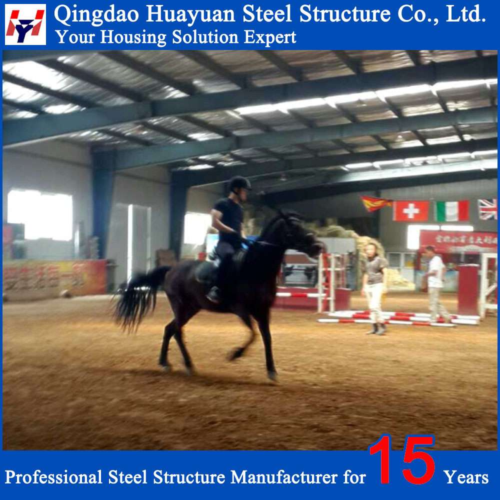 Riding Hall in Slovenia East Europe (3)