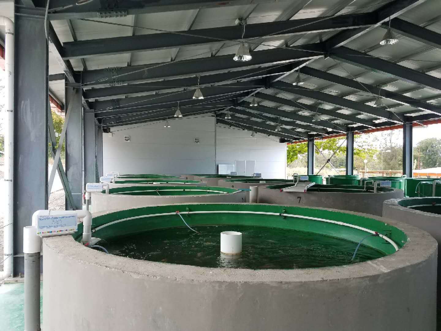 mmexport1538104829814