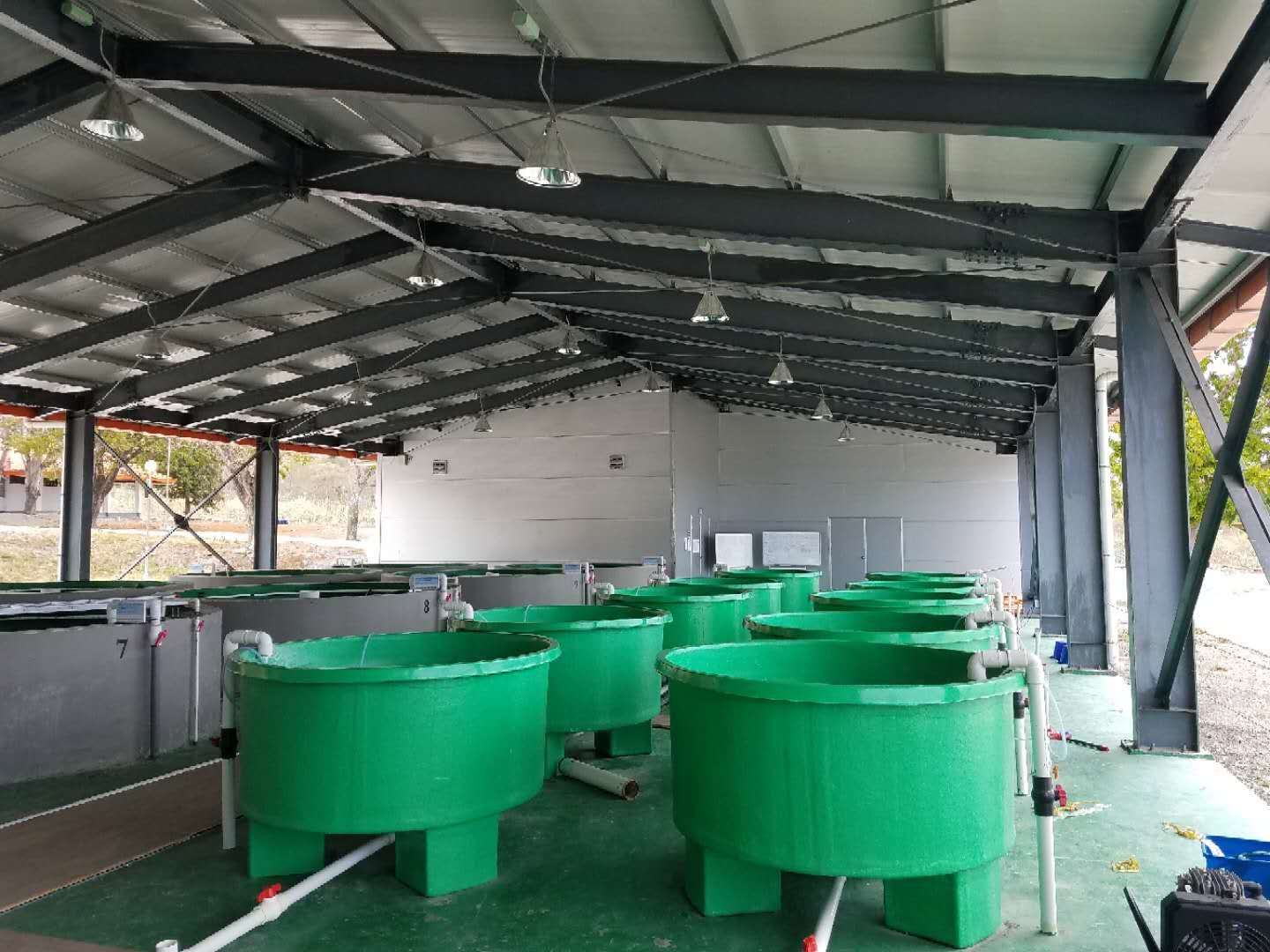 mmexport1538104835984