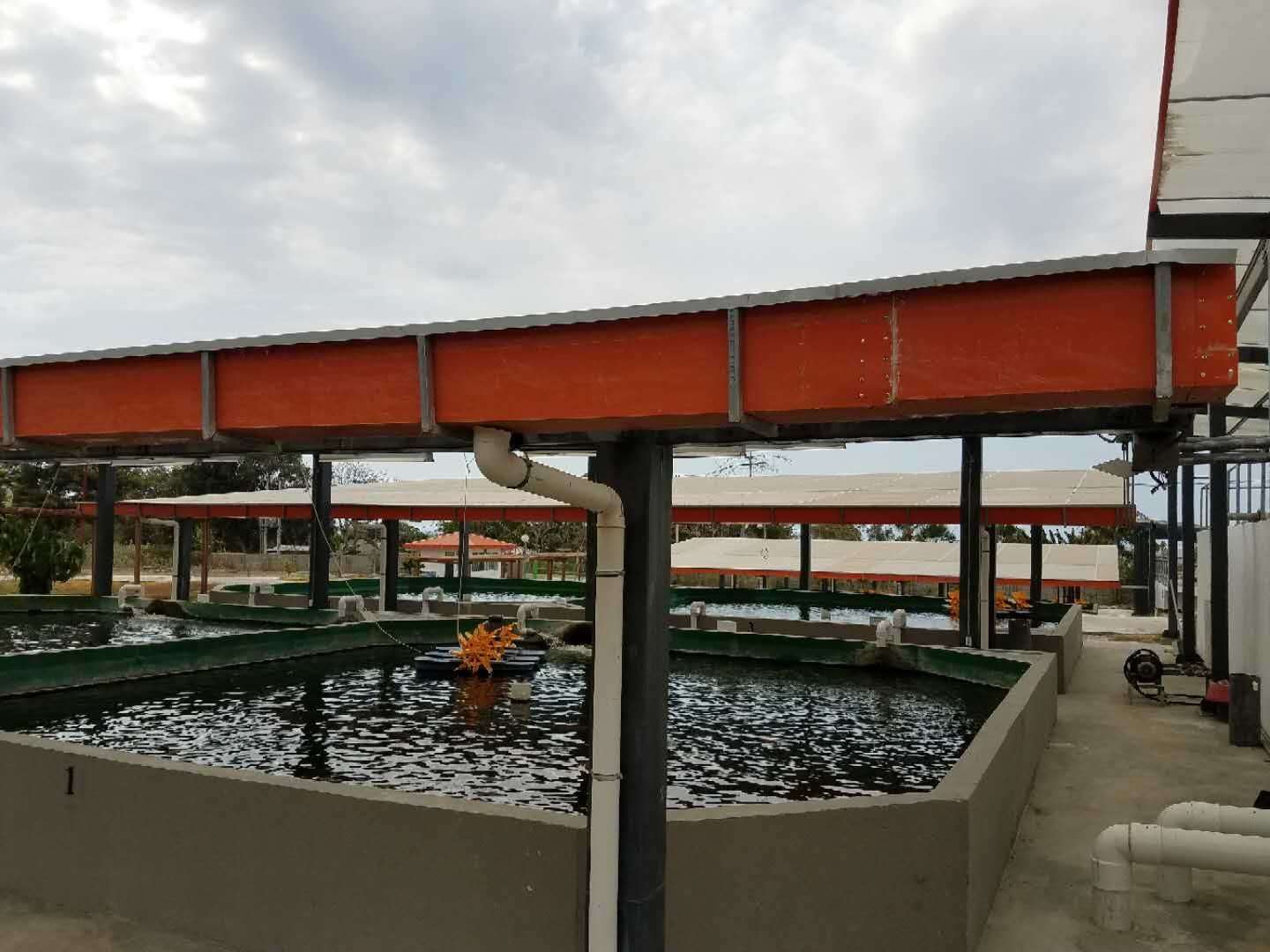 mmexport1538104810717