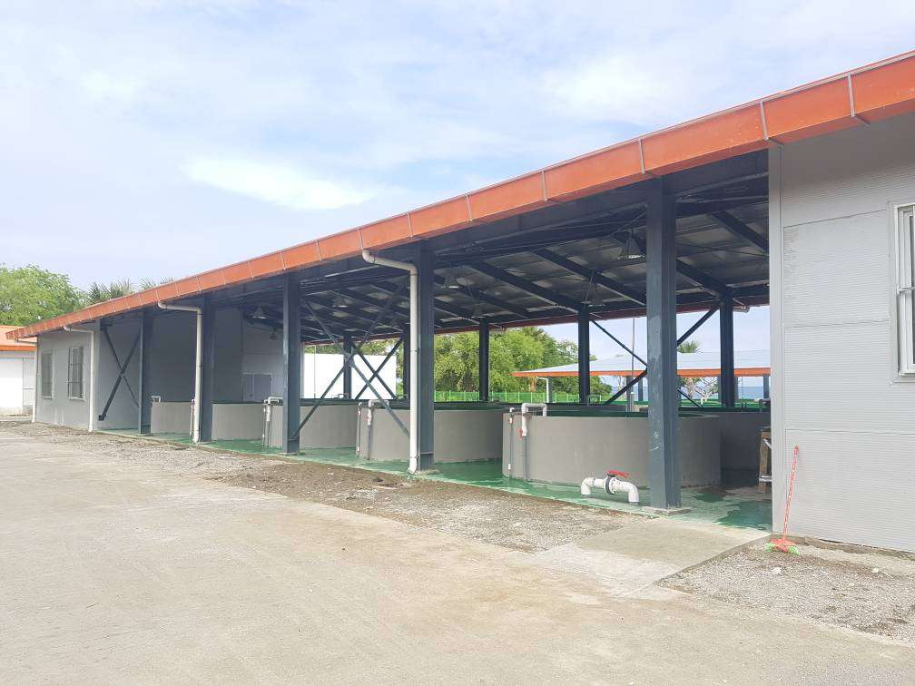 mmexport1538104801168