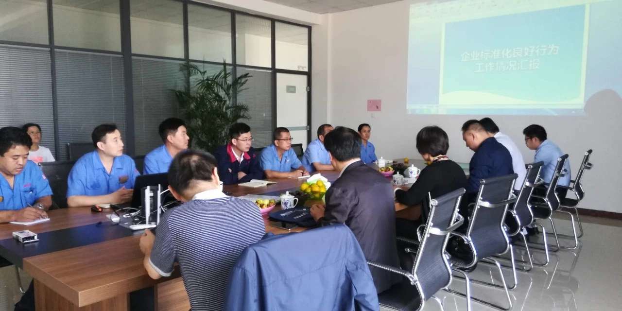 Good Standardizing Practice Certificate (2)