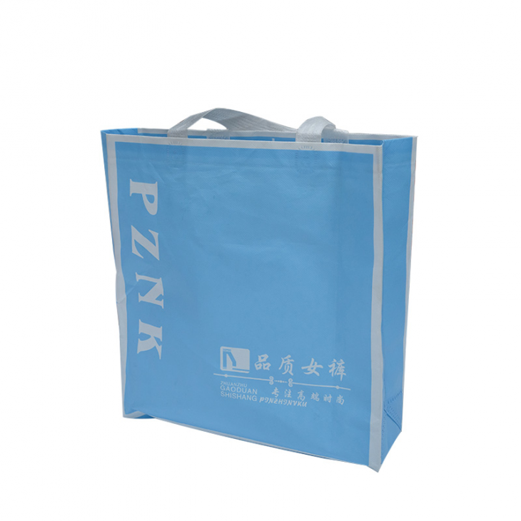 Non-Woven Fabric Handbag