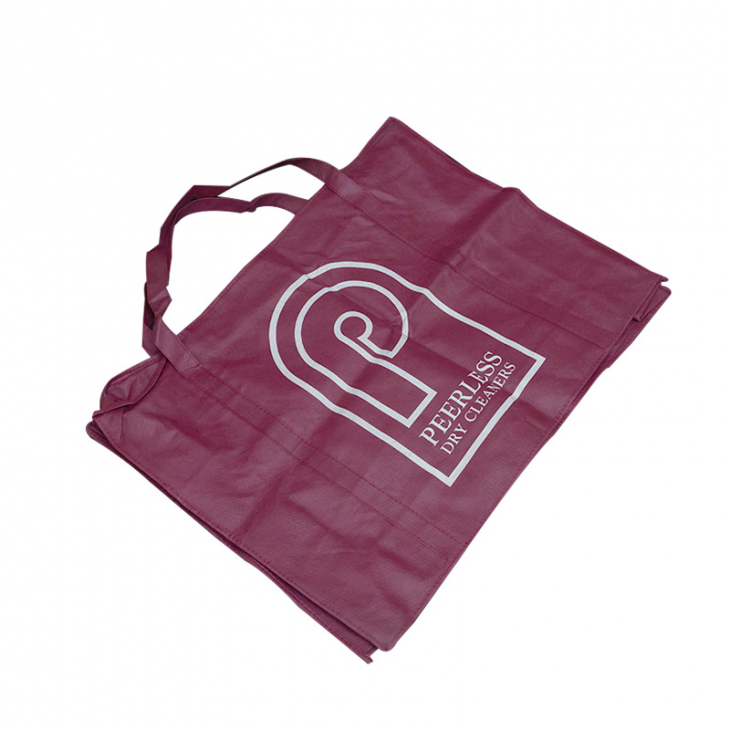 Non-Woven Fabric Handbag