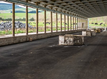 Four types of dairy cow bed