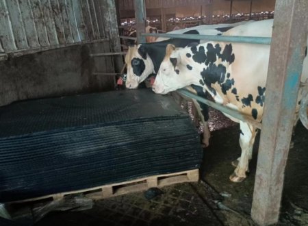 Great Installation in Hefei Farm