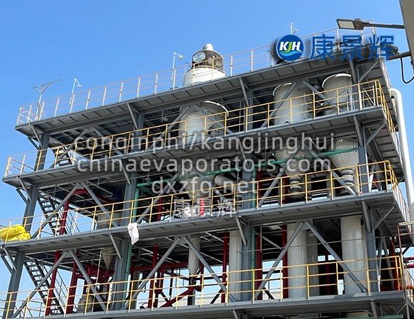 High-efficiency evaporator for fruit juice concentration