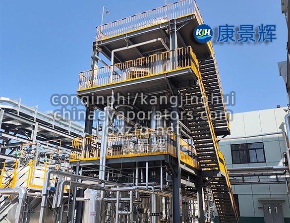 Herbal Concentrate Salt Recovery System