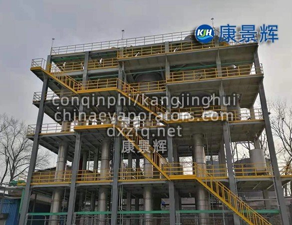 Multi-effect tubular falling film evaporator