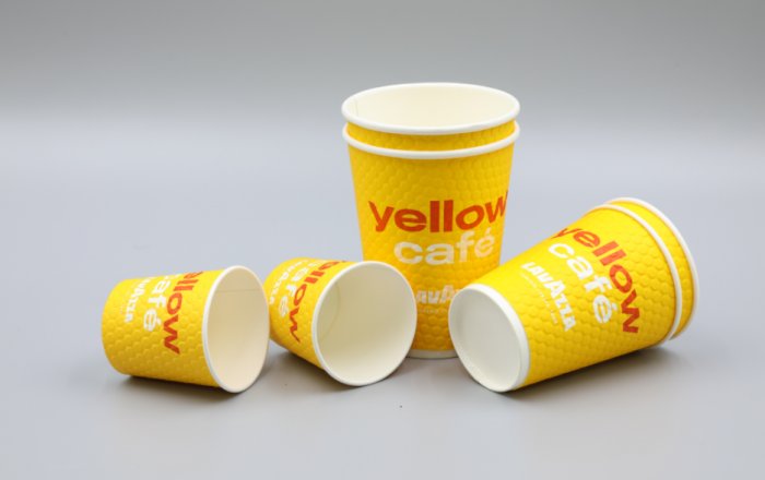 Paper cup products for French customers