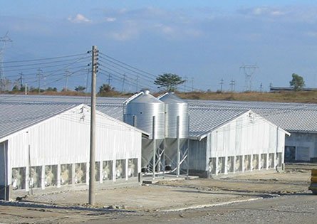 Proyecto de granja de pollos de Indonesia