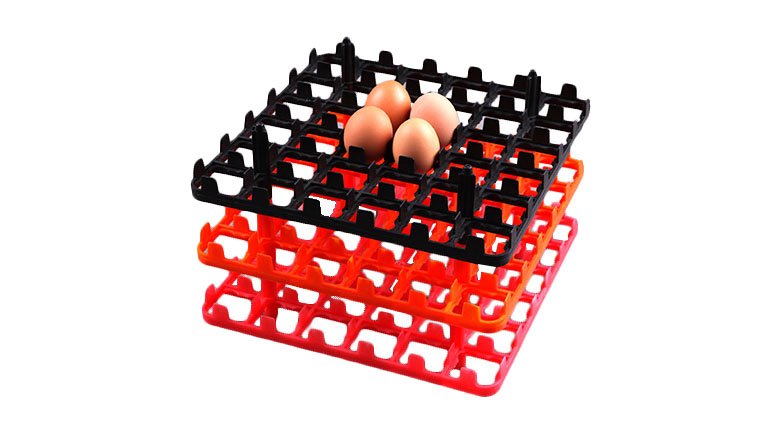 36 bandejas de huevos