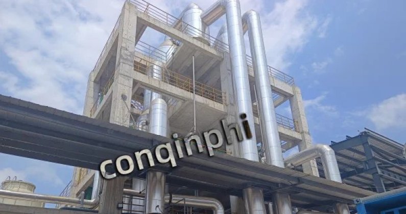 Evaporador de cloruro de sodio de simple efecto