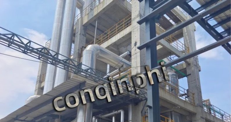 Evaporadores de simple efecto de cloruro de sodio y sulfato de sodio