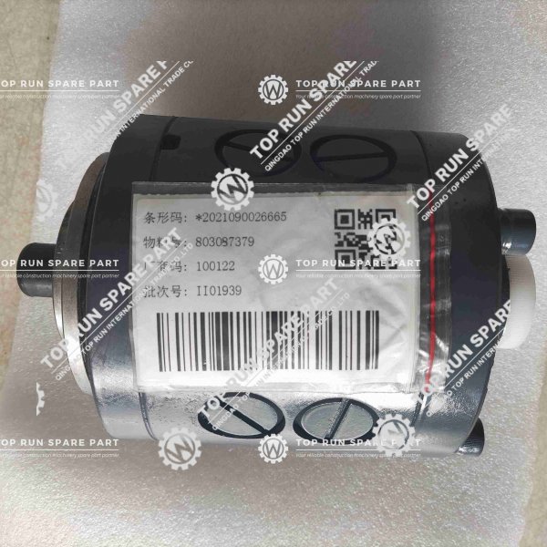 PUMP for XCMG ALL TERRAIN CRANE