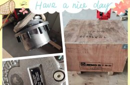 XCMG XS120 roller torque hub send to Spanish