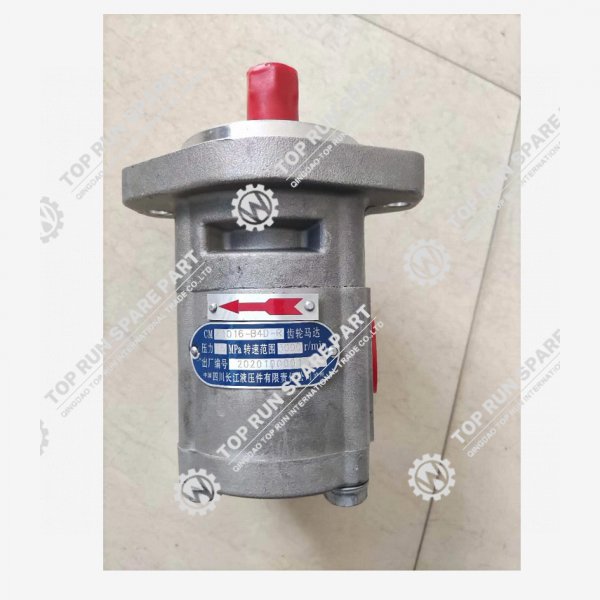 Gear pump motor