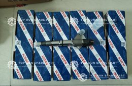 BOSCH injector to Dubai (612600080618  0445120224)